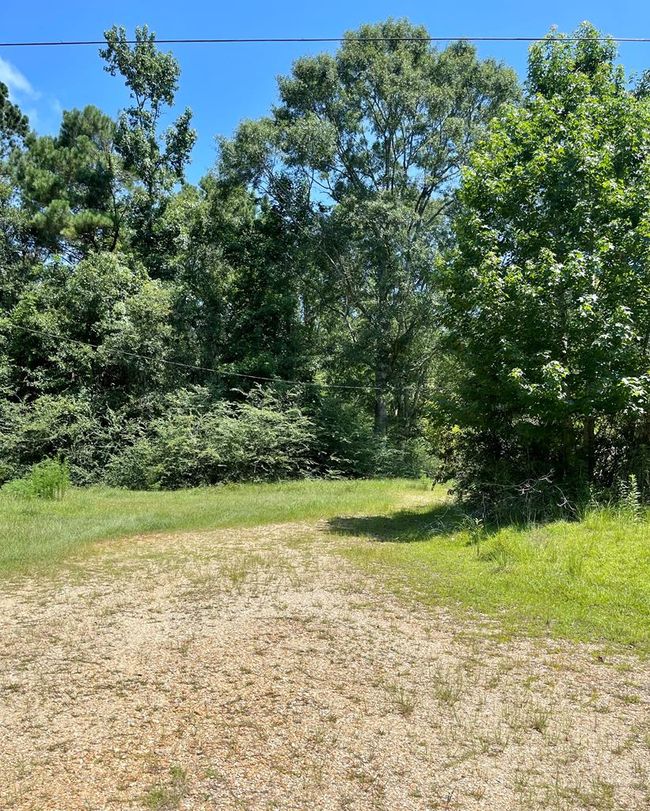 101 Will Thompson Rd, Home with 0 bedrooms, 0 bathrooms and null parking in Picayune MS | Image 5