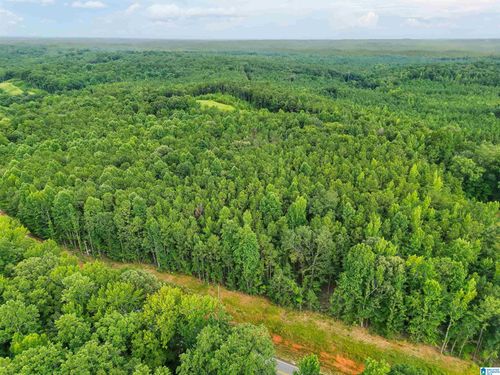 20-27 County Road 1068, Verbena, AL, 36091-3490 | Card Image