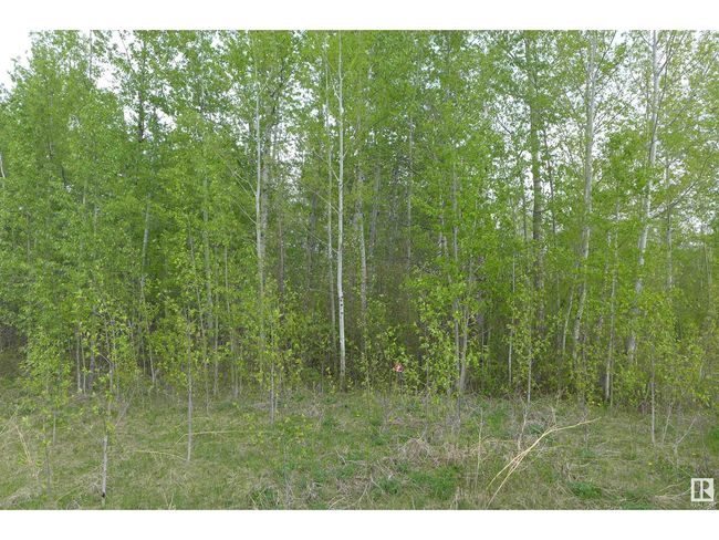 11032 Highway 13, Home with 0 bedrooms, 0 bathrooms and null parking in Westerose AB | Image 6