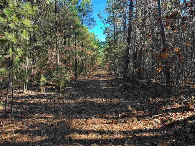 00 Calico Rd, Home with 0 bedrooms, 0 bathrooms and null parking in Clinton AR | Image 21