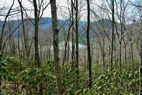Lot 13 Holly Ridge Road, Nantahala, NC, 28781 | Card Image
