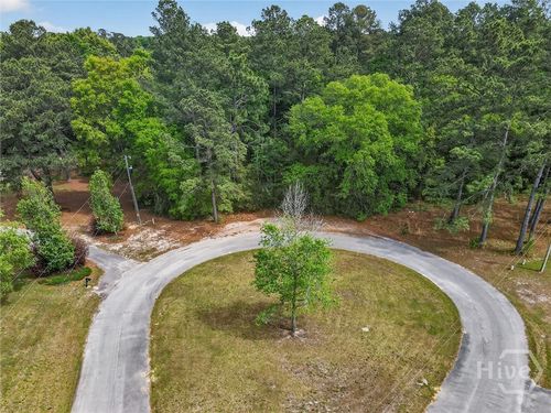 0 Freeman Drive, Ellabell, GA, 31308 | Card Image