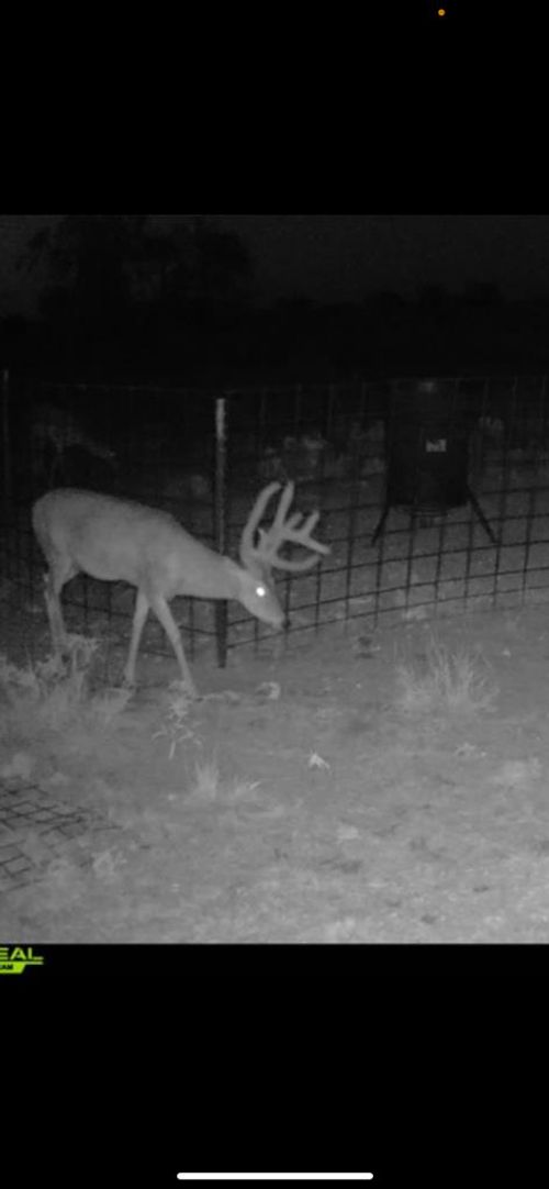 0000 Fm 1828, Eldorado, TX, 76936 | Card Image