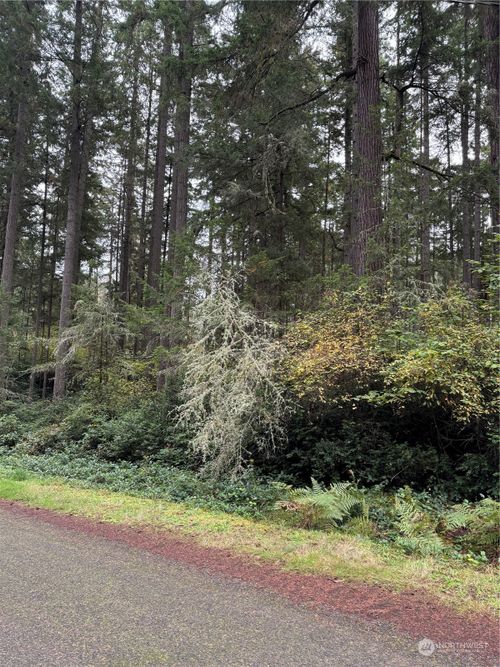 10916 Suncrest Drive, Anderson Island, WA, 98303 | Card Image