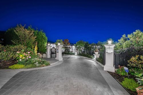 {{alt}} | Card Image