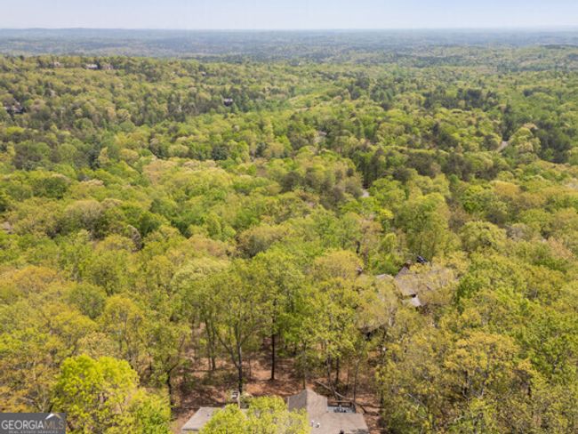 132 Ahaluna Pl, House other with 4 bedrooms, 4 bathrooms and null parking in Big Canoe GA | Image 52