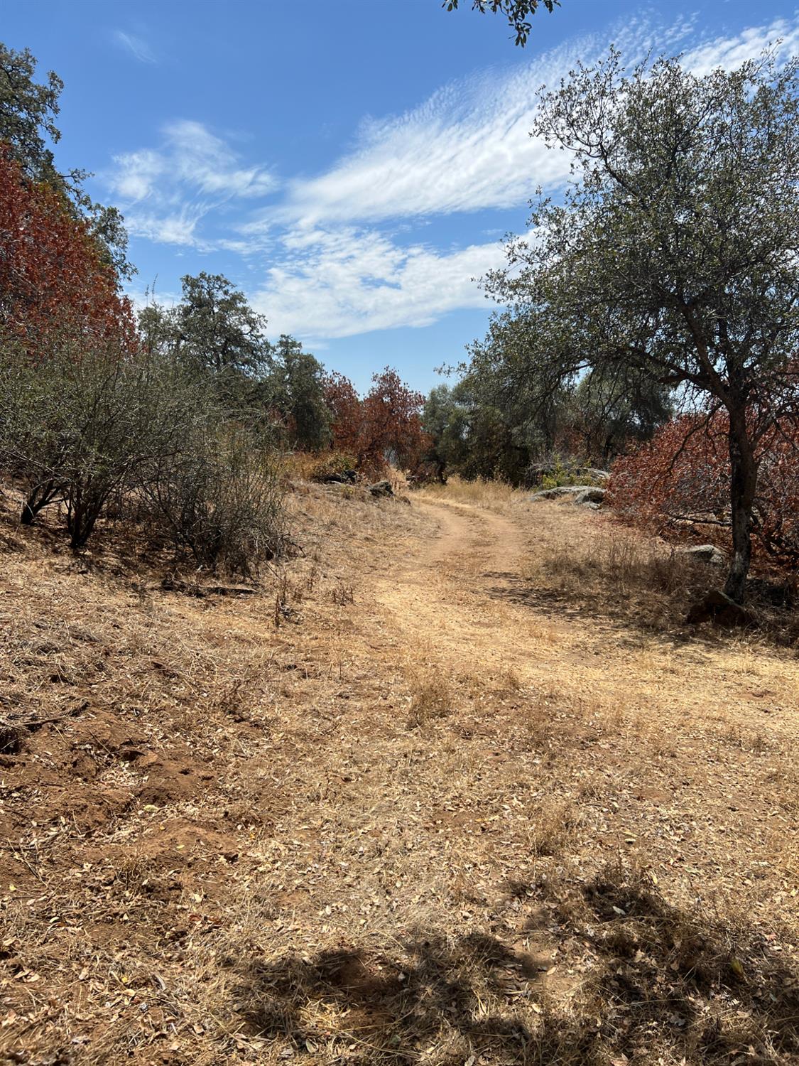 Land in Yokuts Valley