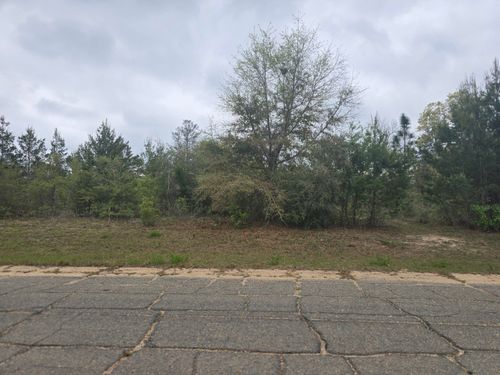 TBD2 Otis, Chipley, FL, 32428 | Card Image