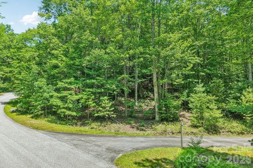 11 Magnolia Branch Dr, Zirconia, NC, 28790 | Card Image