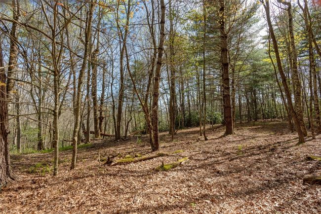 4 Trillium Ridge Rd, Home with 0 bedrooms, 0 bathrooms and null parking in Cullowhee NC | Image 5