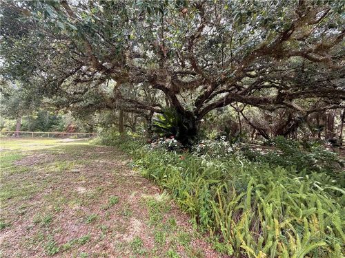 18251 Persimmon Ridge Rd, Alva, FL, 33920-3465 | Card Image