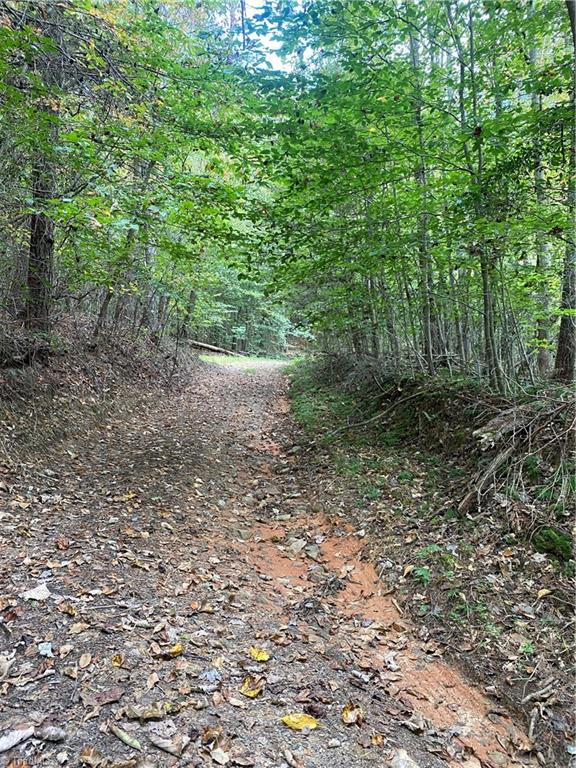 Land in North Wilkesboro 3