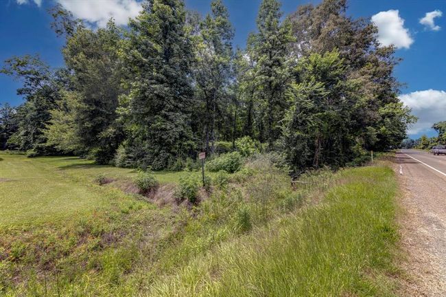 00 Fm 770 Rd, Home with 0 bedrooms, 0 bathrooms and null parking in Batson TX | Image 31