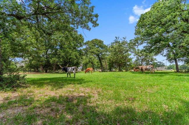 Get on the "horn" to your realtor and tell them you want to "moo"ve here immediately! | Image 46
