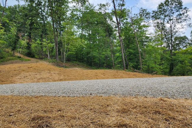 TRACT-3 - 0 Back Run Rd, Home with 0 bedrooms, 0 bathrooms and null parking in Philo OH | Image 43