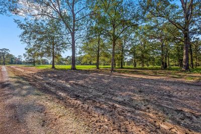 Lot 5 Alans Memorial Lane, Home with 0 bedrooms, 0 bathrooms and null parking in New Waverly TX | Image 1