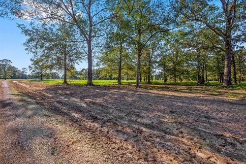 Lot 5 Alans Memorial Lane, New Waverly, TX, 77358 | Card Image