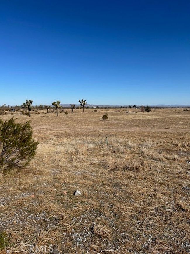 6502 La Mesa Rd, House other with 10 bedrooms, 6 bathrooms and 6 parking in Phelan CA | Image 8
