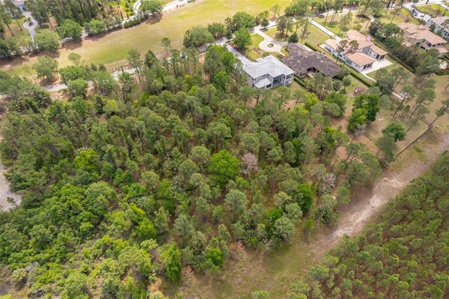 15902 Pendio Dr, Home with 0 bedrooms, 0 bathrooms and null parking in BELLA COLLINA FL | Image 5