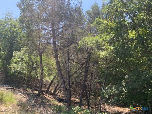 4105 Sherwood Dr, Belton, TX, 76513 | Card Image