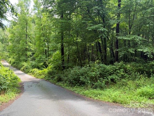 Land in Asheville 3