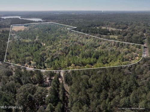 91 Acres Burge And Reyer, Poplarville, MS, 39470 | Card Image