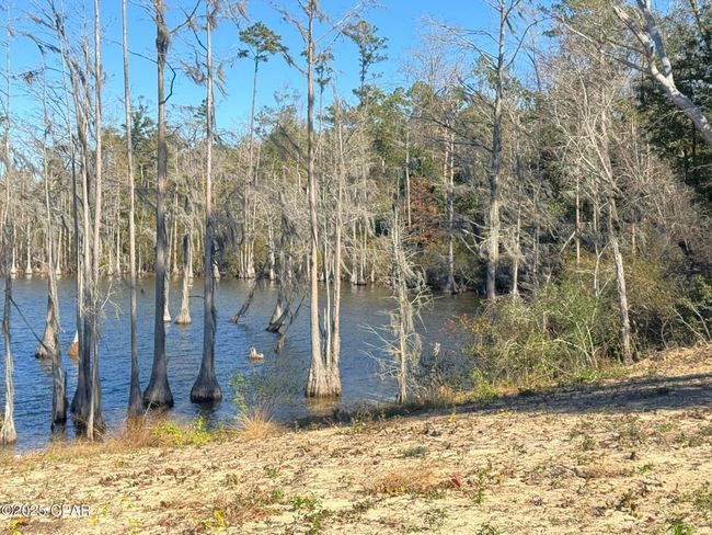 207 Compass Lake Dr, House other with 3 bedrooms, 2 bathrooms and null parking in Alford FL | Image 9