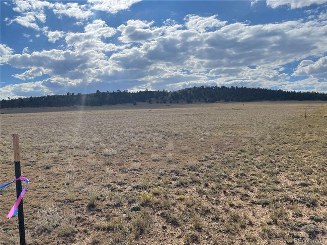 2552 Mesa Rd, Home with 0 bedrooms, 0 bathrooms and null parking in HARTSEL CO | Image 11