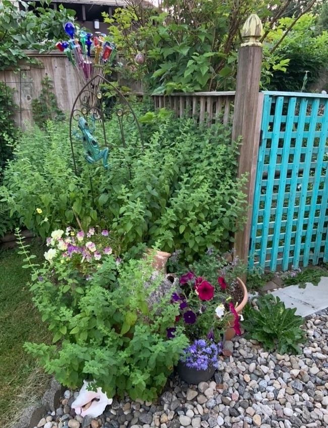 View of yard featuring fence | Image 26