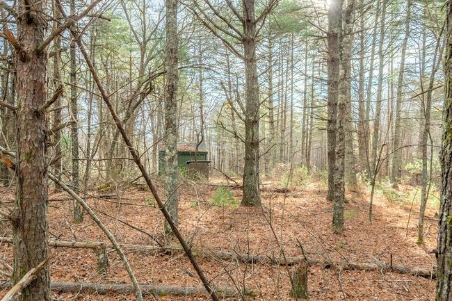000 Miriam Road, Home with 0 bedrooms, 0 bathrooms and null parking in Dugspur VA | Image 19