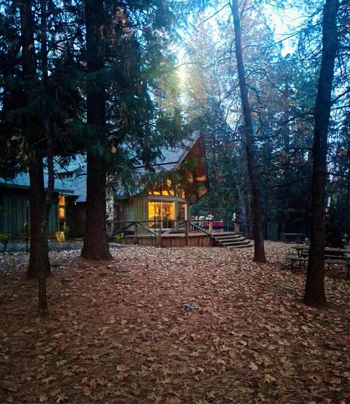 5695 Juarez Road, Pollock Pines, CA, 95726 | Card Image