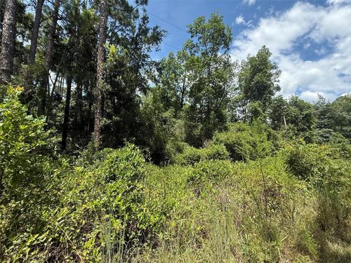 313 Calhoun Ave, Florahome, FL, 32140 | Card Image