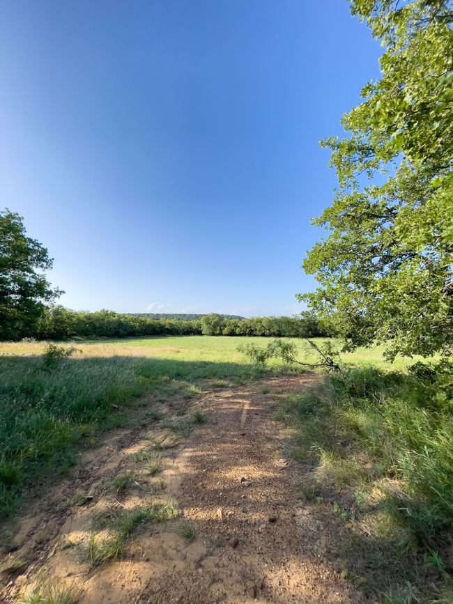 View of undeveloped land featuring rural landscape | Image 17