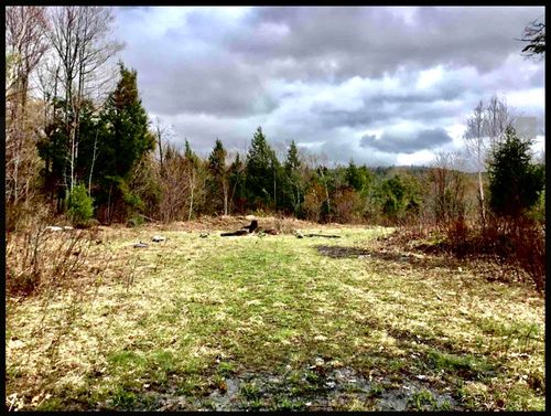 * Alder Plains Road, Bradford, NH, 03221 | Card Image