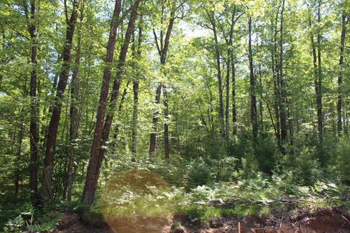 Lot 2 Lindquist Lake Rd, Dunbar, WI, 54119 | Card Image