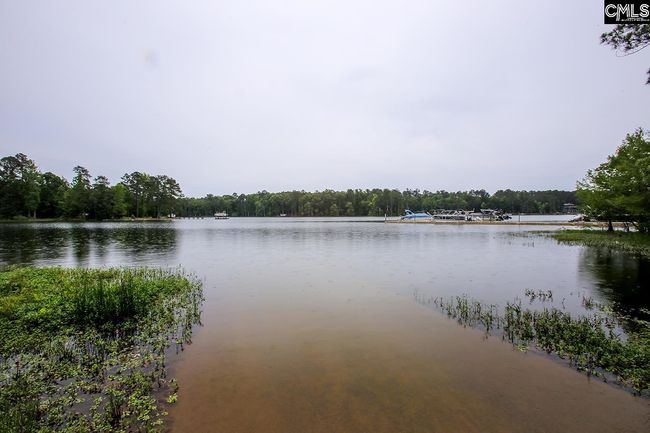348 Amalfi Dr, House other with 3 bedrooms, 3 bathrooms and null parking in Chapin SC | Image 47