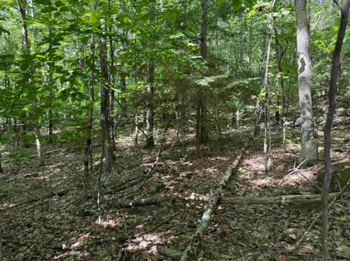 Map 10 Lots 154, 155, 156 New Hampshire Drive, Webster, NH, 03303 | Card Image