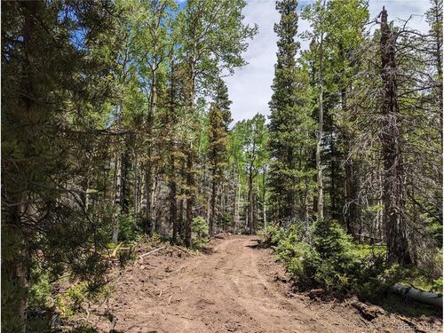 2904 Henderson Dr, Fort Garland, CO, 81133 | Card Image