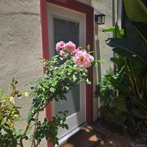 411 2nd St, Coronado, CA, 92118-1107 | Card Image