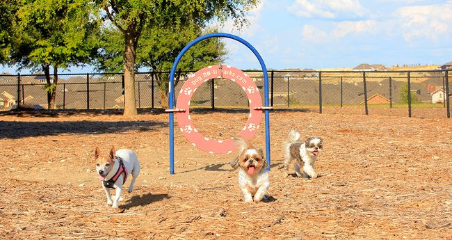 Sunfield community dog park! | Image 35