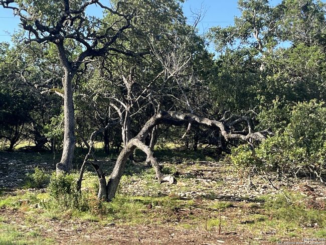 0 Rolling Crk, Home with 0 bedrooms, 0 bathrooms and null parking in Spring Branch TX | Image 18