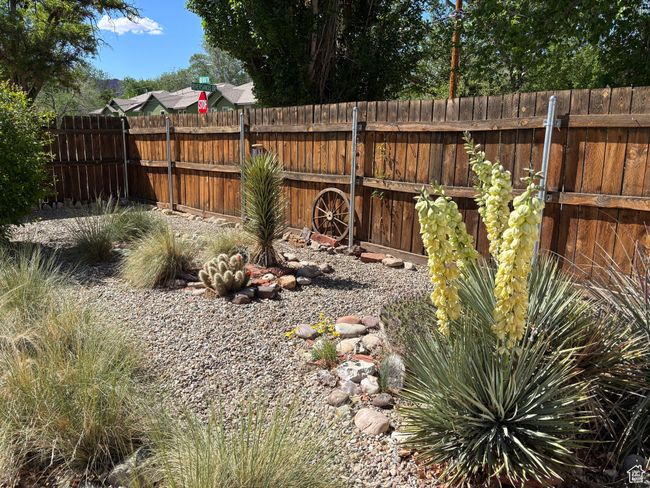 View of back yard | Image 18