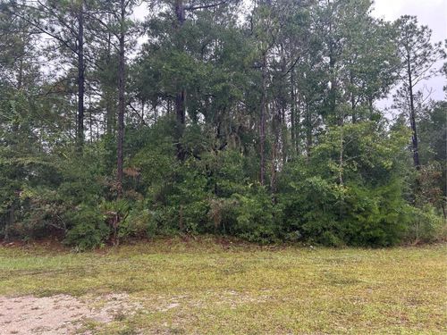 TBD Ne 77th Court, Bronson, FL, 32621 | Card Image