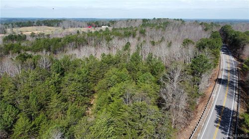 1 Highway 13, Lynn, AL, 35575 | Card Image