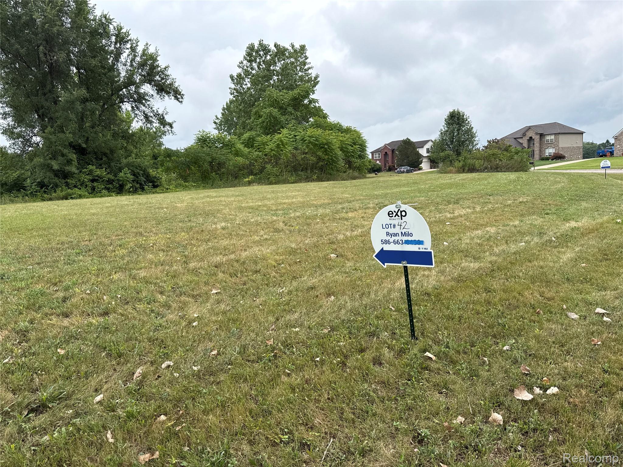 Land in Augusta Charter Township 2