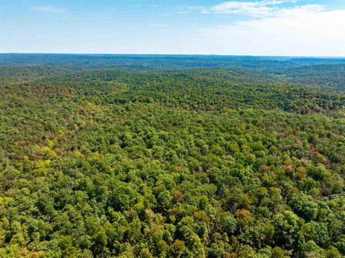 TBD Red Fox Rd, Hardy, AR, 72542 | Card Image