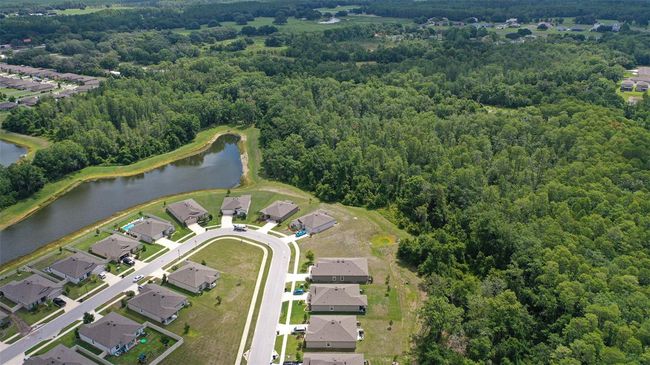 18858 Alfaro Loop, House other with 4 bedrooms, 2 bathrooms and null parking in SPRING HILL FL | Image 4