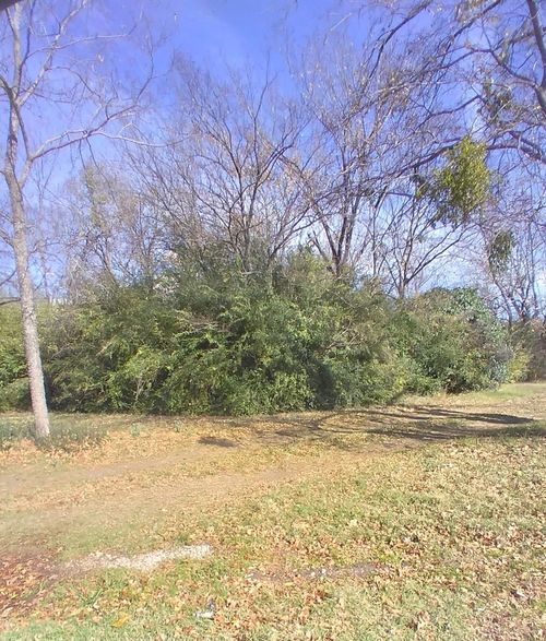 1803 Prairie View Dr, Dallas, TX, 75235-6216 | Card Image