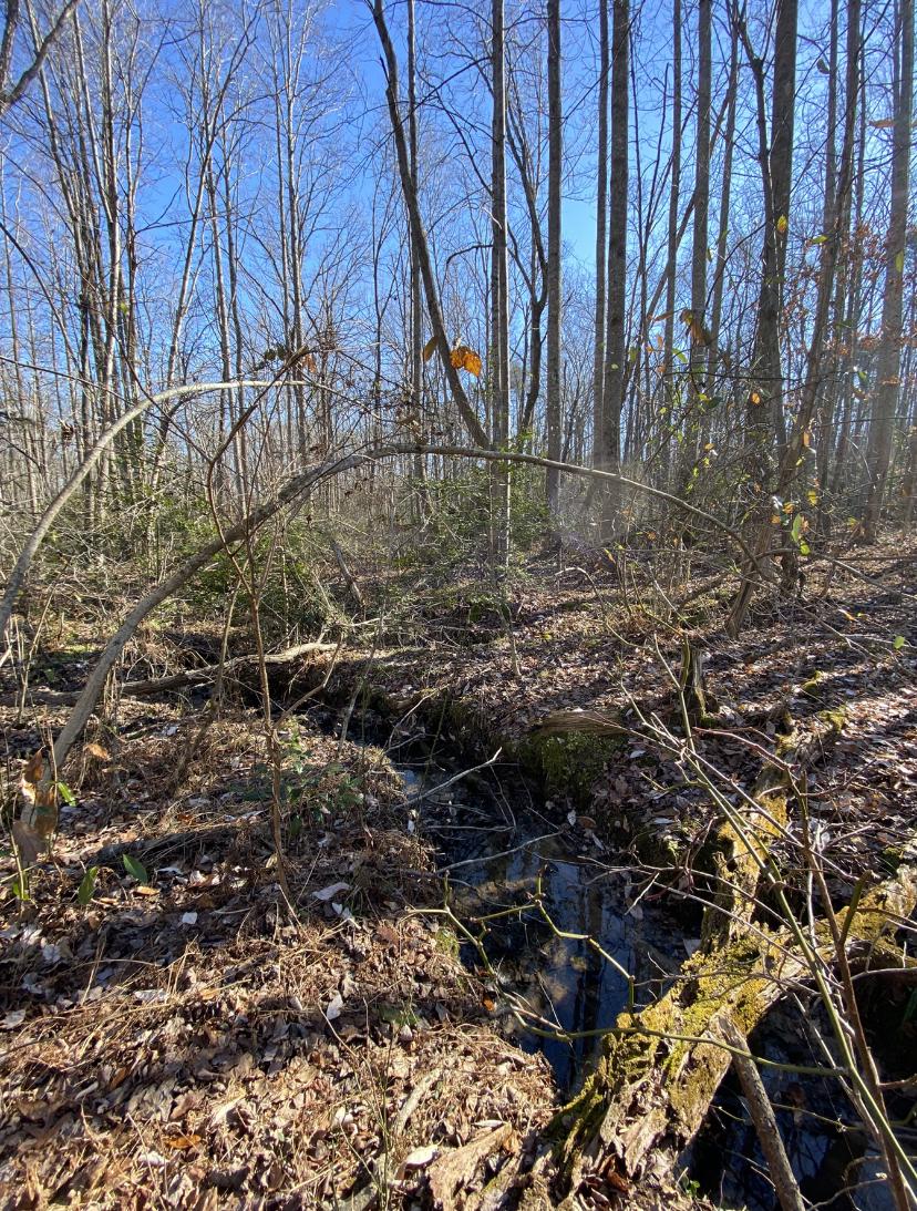 Land in LOUISA 2