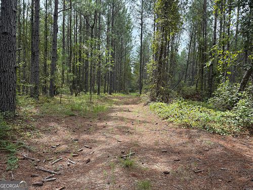 0 Blun Rd, Swainsboro, GA, 30401 | Card Image